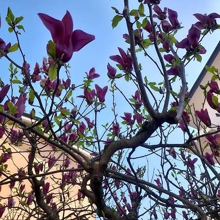 尼奇里诺Casa Magnolia, Tranquilla E Centrale公寓 外观 照片